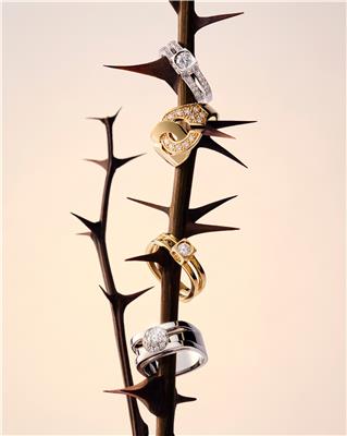 DINH VAN VALENTINES DAY 3