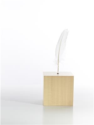 CID Artshop 5