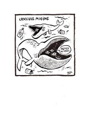 NEUVIEME ART BRUSSELS COCO DESSIN 11