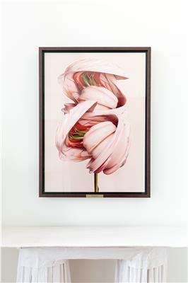 THE ROOMS SPAZIO NOBILE ROSA AETHERIALIS VINCENT FOURNIER 01