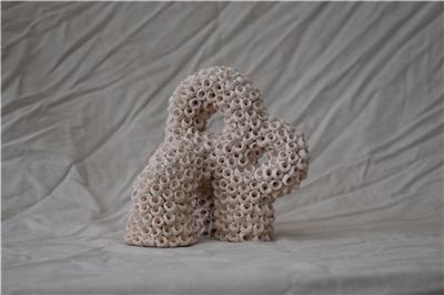 CB26 GALERIE ANNA MARRA DANA ZVULUN2