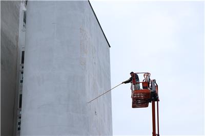 KOZ DOS TRNAVA SLOVAKIA .JPG