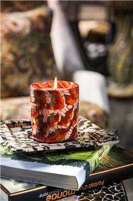 GILLES DEWAVRIN CREDIT CLAUDE SMEKENS (3)