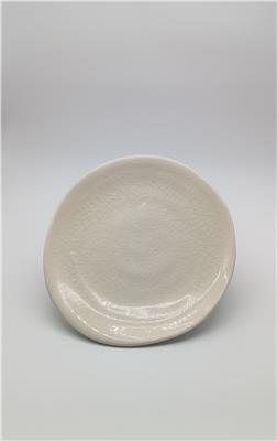 CB25 MBA FINE ARTS RYOJI KOIE ASSIETTE KRY010 1