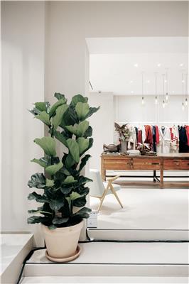 AV STORE ANTWERP CREDIT OONA SMET 8