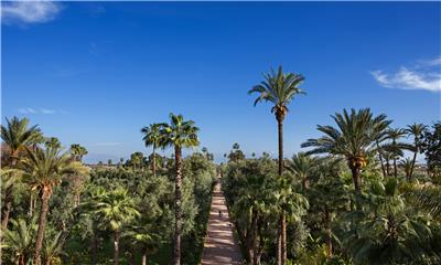 LA MAMOUNIA THE GARDENS ALLEE MAGISTRALE