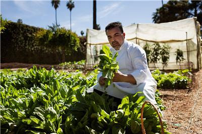 LA MAMOUNIA Potager 01