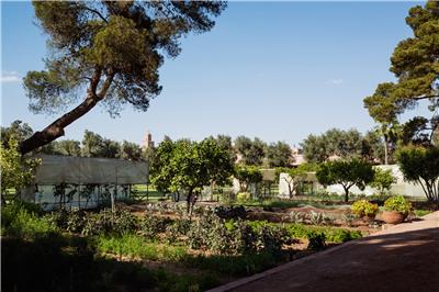 LA MAMOUNIA Potager 02