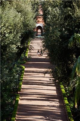 LA MAMOUNIA The Gardens 01