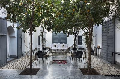 VALERIE BARKOWSKI DAR KAWA PATIO CREDIT TANIA PANOVA 2.JPG