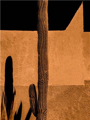 AAF MICK Agence Lotte Ekkel Mexican Fragments NR6 Fine art print coated and framed in Mansonia box frame 30 x 38cm